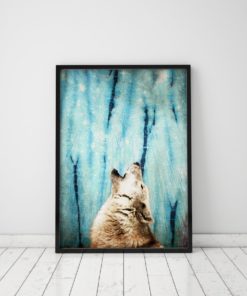 Wolf Poster Night Sky Print Wolf Print Teen Boy Wall Art Wolf And Moon Blue Wall Art Wolf Art Print Blue Prints Night Sky Art Teen Room