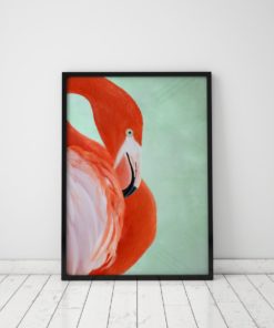Flamingo Print Tropical Wall Art Flamingo Art Tropical Decor Large Print Art Tropical Print Poster Large Prints Wall Art Print Animal Art