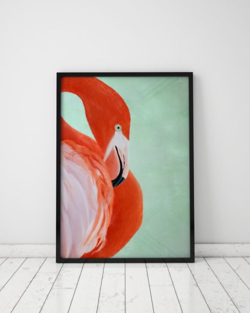 Flamingo Print Tropical Wall Art Flamingo Art Tropical Decor Large Print Art Tropical Print Poster Large Prints Wall Art Print Animal Art