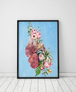 Anatomical Heart Print Anatomical Heart Art Wall Art Prints And Posters Human Heart With Flowers Poster Gift For Doctor Collage Art