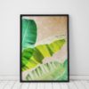 Banana Leaf Print Tropical Print Tropical Leaves Print Banana Leaves Tropical Decor Banana Plant Art Banana Leaf Wall Art Tropical Plants