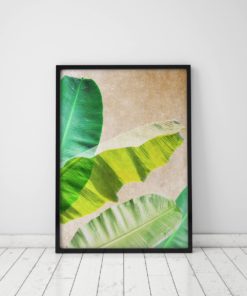 Banana Leaf Print Tropical Print Tropical Leaves Print Banana Leaves Tropical Decor Banana Plant Art Banana Leaf Wall Art Tropical Plants