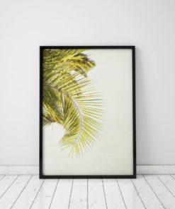 Wall Art Prints Wall Decor Wall Art Print Art Prints Palm Tree Art Palm Leaf Print Palm Tree Print Palm Print Canvas Art Canvas Wall Art