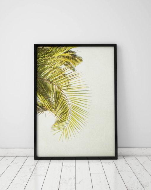 Wall Art Prints Wall Decor Wall Art Print Art Prints Palm Tree Art Palm Leaf Print Palm Tree Print Palm Print Canvas Art Canvas Wall Art