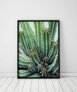 Cactus And Succulents Gallery Wall Art Prints Cactus Print Art Gallery Wall Decor Cactus Decor Gallery Wall Prints Wall Pictures Large Art