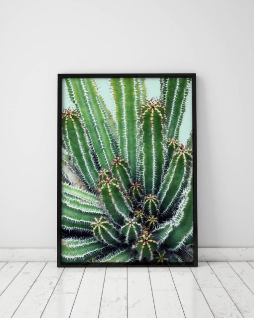 Cactus And Succulents Gallery Wall Art Prints Cactus Print Art Gallery Wall Decor Cactus Decor Gallery Wall Prints Wall Pictures Large Art