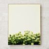 Wall Art Photography Prints Botanical Art Prints Plant Prints Wall Art Modern Art Wall Art Nature Prints Botanical Poster Botanical Print
