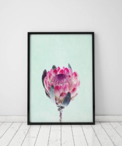 Protea Print Protea Flower Print Floral Wall Art Protea Art Floral Art Print Protea Wall Art Floral Print Flower Art Print Mint Green Art