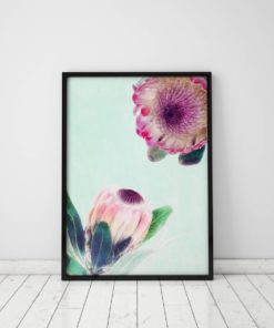 Flower Art Print Protea Print Floral Artwork Floral Art Prink Print Protea Flower Print Protea Wall Art Prints Flower Wall Art Print