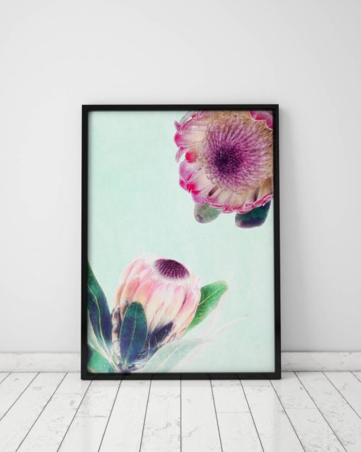 Flower Art Print Protea Print Floral Artwork Floral Art Prink Print Protea Flower Print Protea Wall Art Prints Flower Wall Art Print