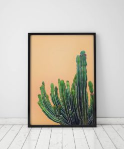 Catus Print Art Cactus Decor Cactus Poster Cactus Wall Art Prints Cactus Photography Prints Cactus Art Print Cactus Wall Decor