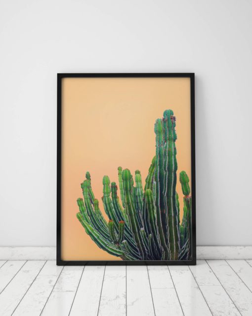Catus Print Art Cactus Decor Cactus Poster Cactus Wall Art Prints Cactus Photography Prints Cactus Art Print Cactus Wall Decor