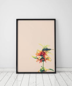 Bird Prints Wall Art Bird Wall Art Prints Bird Art Print Art Poster Bird Artwork Prints Bird Poster Bird Pictures Bird Photography Prints