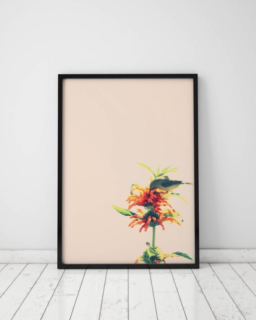 Bird Prints Wall Art Bird Wall Art Prints Bird Art Print Art Poster Bird Artwork Prints Bird Poster Bird Pictures Bird Photography Prints
