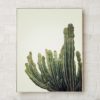 Desert Cactus Print Art Desert Print Desert Art Prints Wall Art Prints Desert Decor Desert Photography Prints Desert Plants Giclee Print