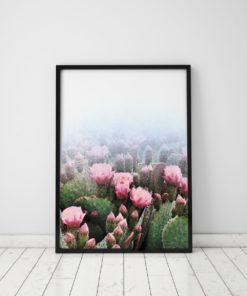 Cactus Decor Nature Prints Bedroom Wall Art Pink Wall Art Flower Prints Bedroom Wall Decor Bedroom Wall Decor Cactus Print Photography Art