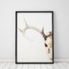 Animal Skull Decor Pastel Art Print Bedroom Wall Art Animal Skull Art Bedroom Decor Bedroom Wall Decor Bedroom Wall Decor Stag Antler