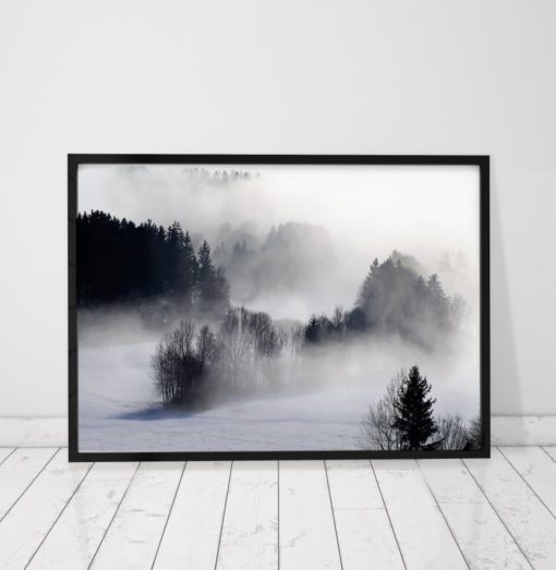 Black And White Palm Forest Print Black And White Wall Art Black And White Forest Art Black And White Prints Black And White Photography