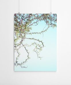 Wall Art Willow Tree Print Bedroom Wall Art Tree Art Photography Wall Art Nature Prints