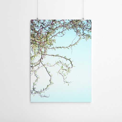 Wall Art Willow Tree Print Bedroom Wall Art Tree Art Photography Wall Art Nature Prints