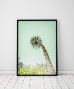 Coastal Wall Art Palm Print Coastal Style Prints Palm Tree Prints Tropical Wall Decor Coastal Pictures Tropical Wall Art Mint Green Art