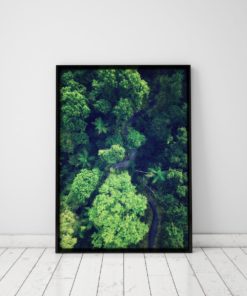 Forest Print Jungle Wall Art Forest Wall Art Forest Photography Print Nature Prints Nature Art Nature Wall Art Nature Photography Prints