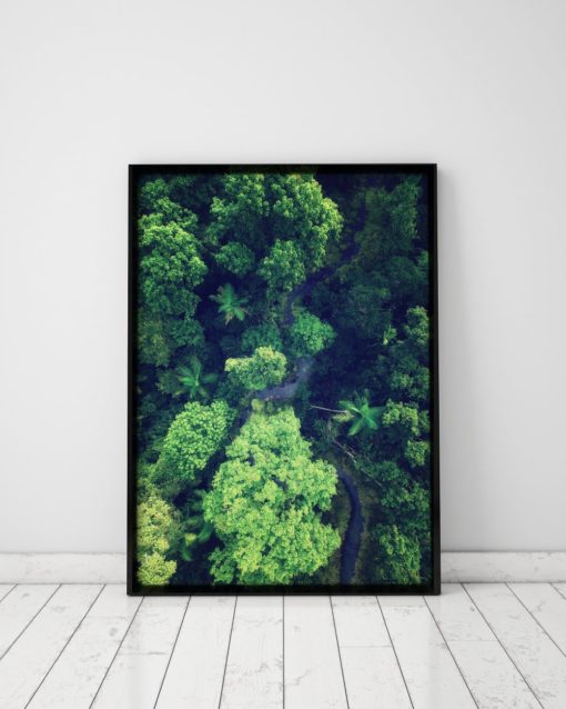 Forest Print Jungle Wall Art Forest Wall Art Forest Photography Print Nature Prints Nature Art Nature Wall Art Nature Photography Prints