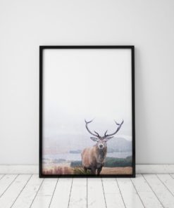Stag Print Deer Decor Animal Prints For Nursery Stag Art Deer Print Animal Art Deer In The Woods Animal Poster Deer In Forest Wall Art Print