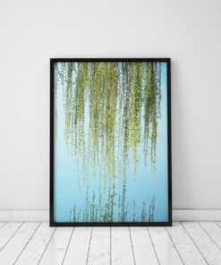 Willow Tree Art Blue And Green Wall Art Nature Prints Willow Tree Decor Blue And Green Art Nature Wall Art Water Photography Willow Print