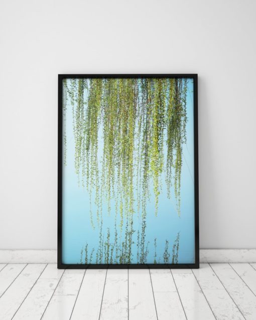 Willow Tree Art Blue And Green Wall Art Nature Prints Willow Tree Decor Blue And Green Art Nature Wall Art Water Photography Willow Print