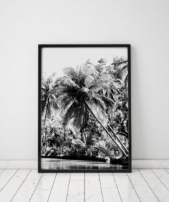 Black And White Palm Tree Print Black And White Wall Art Black And White Palms Black And White Prints Black And White Photography Prints