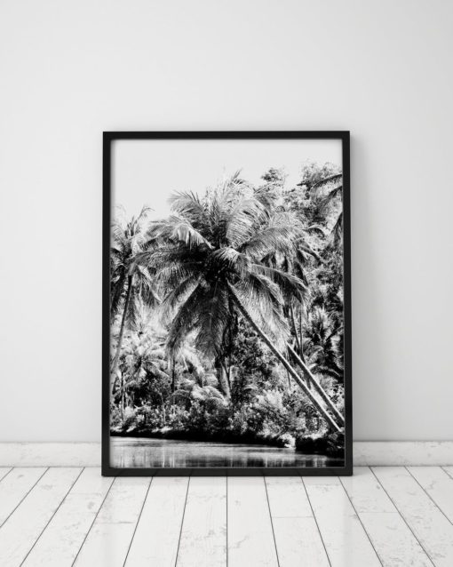 Black And White Palm Tree Print Black And White Wall Art Black And White Palms Black And White Prints Black And White Photography Prints
