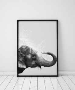 Wall Art Black And White Elephant Photography Print Black And White Elephant Print Elephant Decor Elephant Nursery Print Elephant Photo