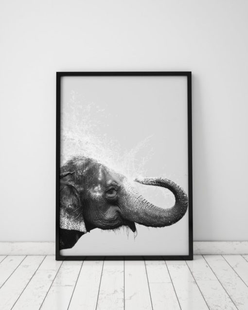 Wall Art Black And White Elephant Photography Print Black And White Elephant Print Elephant Decor Elephant Nursery Print Elephant Photo