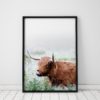 Highland Cow Print Animal Prints Wall Art Prints Home Decor Highland Cow Art Nature Prints Nature Wall Art Prints Animal Art Print