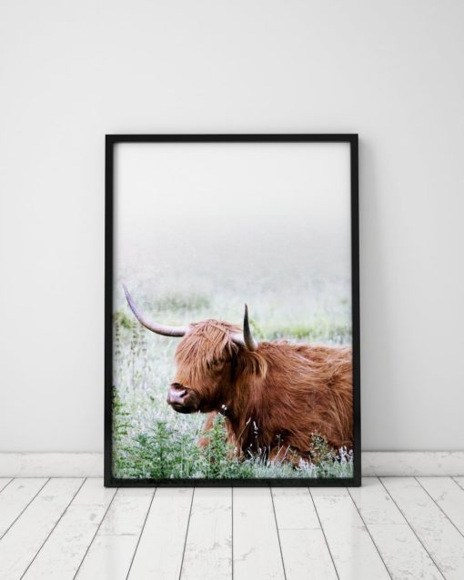 Highland Cow Print Animal Prints Wall Art Prints Home Decor Highland Cow Art Nature Prints Nature Wall Art Prints Animal Art Print