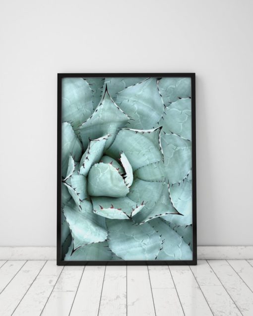 Cactus Wall Art Prints Aloe Plant Print Plant Prints