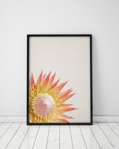 Protea Print Plant Wall Art Prints Pin cushion Flower Art
