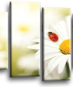 Floral Daisy's Summer Flower Art Picture Print Home Flower Wall Canvas Split Multi 4 Panel