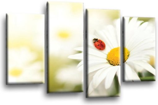 Floral Daisy's Summer Flower Art Picture Print Home Flower Wall Canvas Split Multi 4 Panel