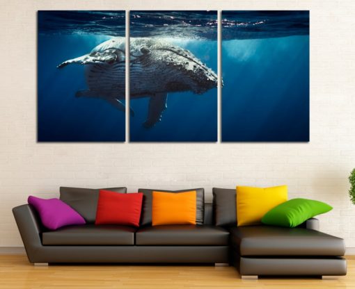Whale canvas print Whale wall decor Whale wall art Whale poster Whale photo Undersea world art Undersea world decor Undersea world poster