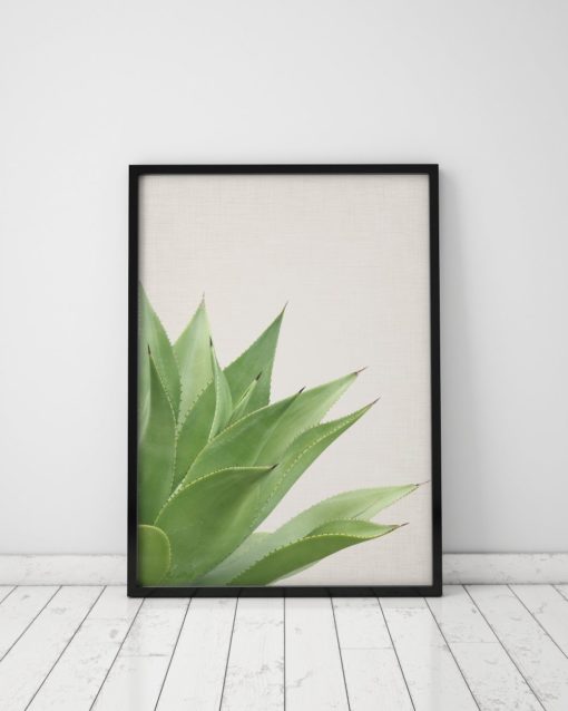 Aloe Plant Print Plant Cactus Wall Art Prints