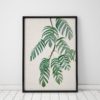Botanical Wall Art Leaf Print Plant Wall Art Prints Leaves Print