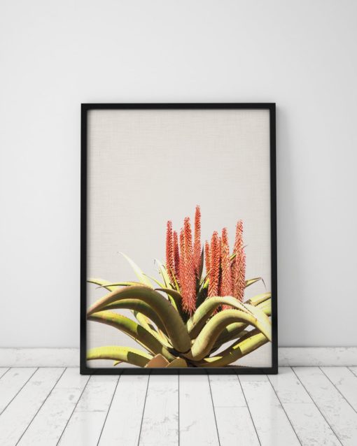 Aloe Plant Print Plant Wall Art Prints