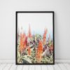 Aloe Plant Print Plant Wall Art Prints Cactus Print Nature Art Cape Point Ocean Print