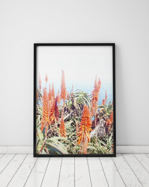 Aloe Plant Print Plant Wall Art Prints Cactus Print Nature Art Cape Point Ocean Print
