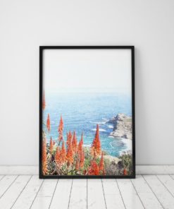 Aloe Plant Print Plant Wall Art Prints Cactus Print Nature Art Cape Point Ocean Print