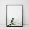 Bird Prints Wall Art Bird Wall Art Prints Bird Art Print Art Poster Bird Artwork Prints Bird Poster Bird Pictures Bird Photography Prints
