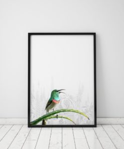 Bird Prints Wall Art Bird Wall Art Prints Bird Art Print Art Poster Bird Artwork Prints Bird Poster Bird Pictures Bird Photography Prints
