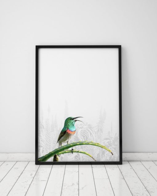 Bird Prints Wall Art Bird Wall Art Prints Bird Art Print Art Poster Bird Artwork Prints Bird Poster Bird Pictures Bird Photography Prints